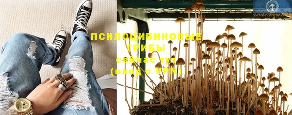 гидропоника Осташков