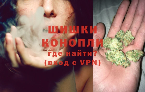 ALPHA PVP Осинники