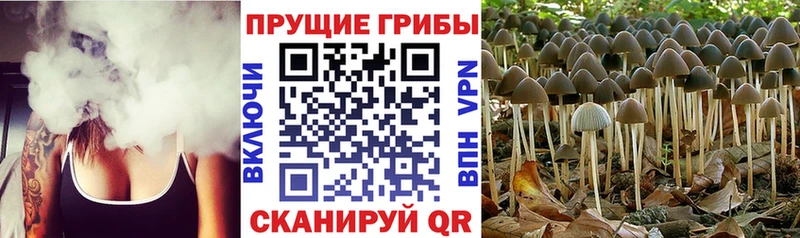 Галлюциногенные грибы мухоморы  Серафимович 