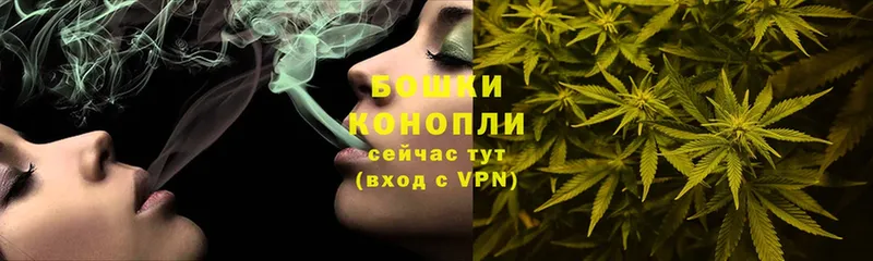 купить закладку  Серафимович  Шишки марихуана OG Kush 